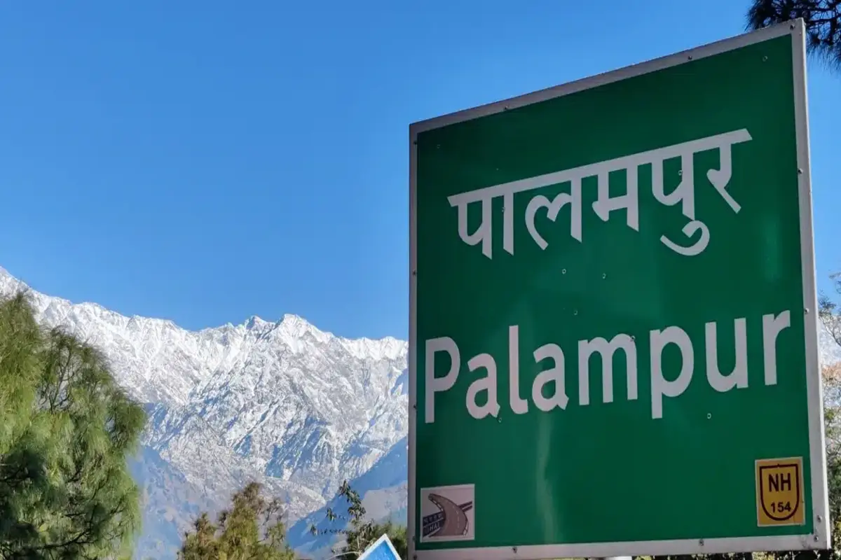 Best-time-to-Visit-Palampur (1)